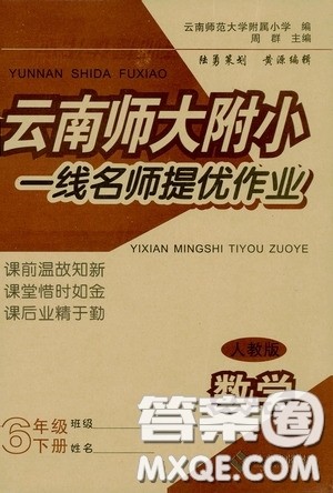 2020春云南师大附小一线名师提优作业六年级数学下册人教版答案