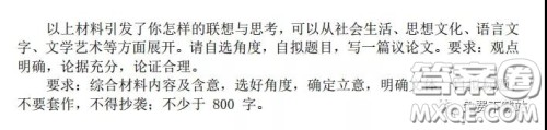 华中师大一附中2019-2020学年度高三下学期检测语文试题及答案 华中师大一附中2019-2020学年度高三下学期检测语文试题及答案