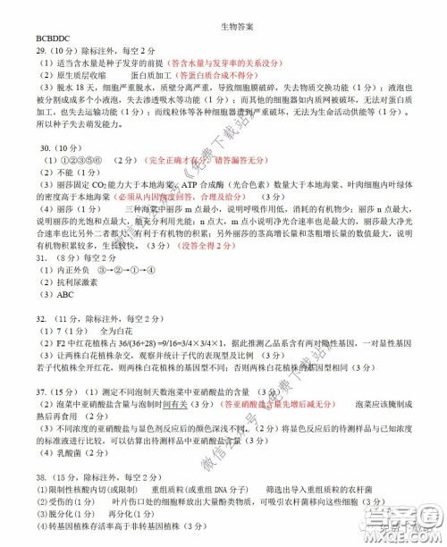 华中师大一附中2020届高三理科综合能力测试试题及答案 华中师大一附中2020届高三理科综合能力测试试题及答案