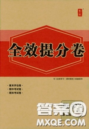 2020全效提分卷八年级数学下册浙教版答案