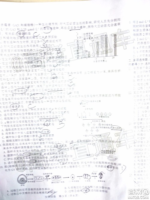 江苏七市2020届高三第二次调研考试生物试题及答案 江苏七市2020届高三第二次调研考试生物试题及答案