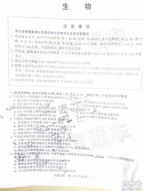 江苏七市2020届高三第二次调研考试生物试题及答案 江苏七市2020届高三第二次调研考试生物试题及答案