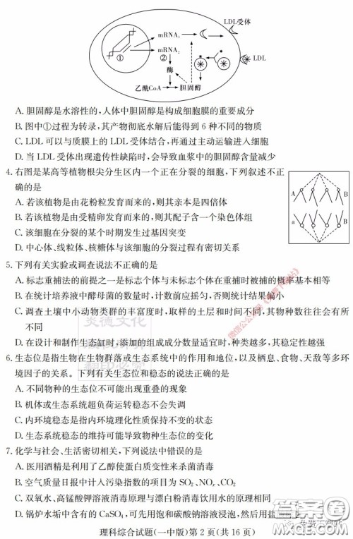 炎德英才大联考长沙市一中2020届高三月考试卷八理科综合答案