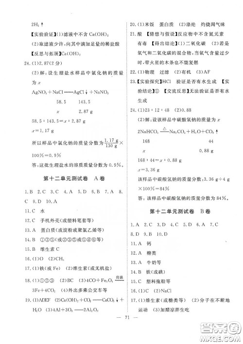 江西教育出版社2020能力形成同步测试卷九年级化学下册人教版答案