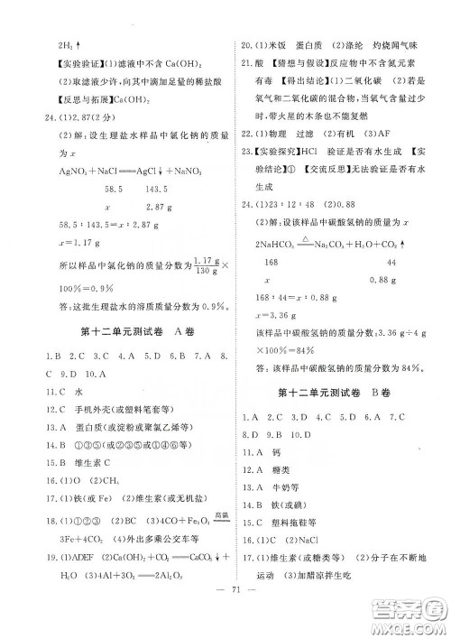 江西教育出版社2020能力形成同步测试卷九年级化学下册人教版答案