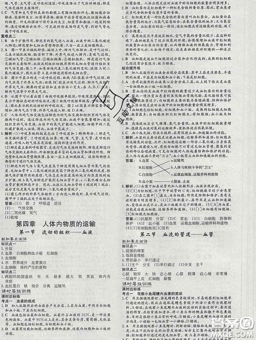 2020新版练案课时作业本七年级生物下册人教版答案 2020新版练案课时作业本七年级生物下册人教版答案