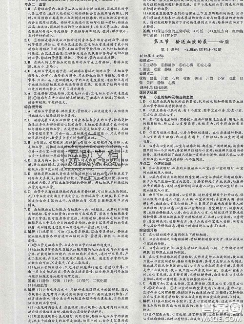 2020新版练案课时作业本七年级生物下册人教版答案