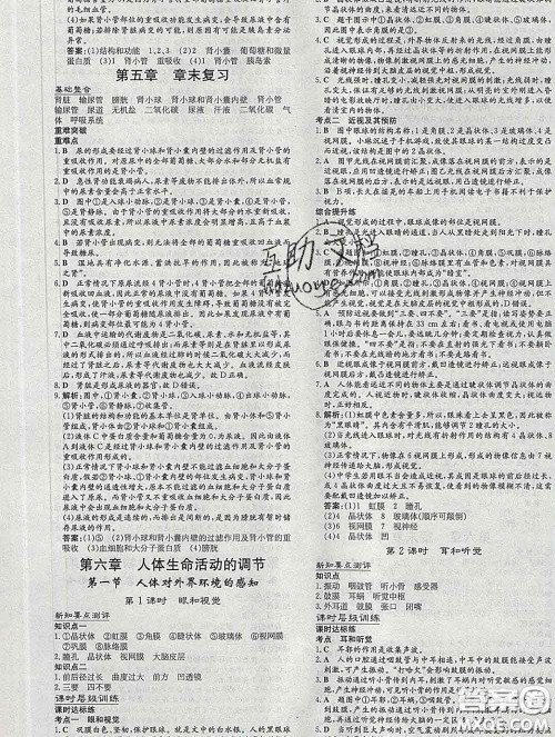 2020新版练案课时作业本七年级生物下册人教版答案