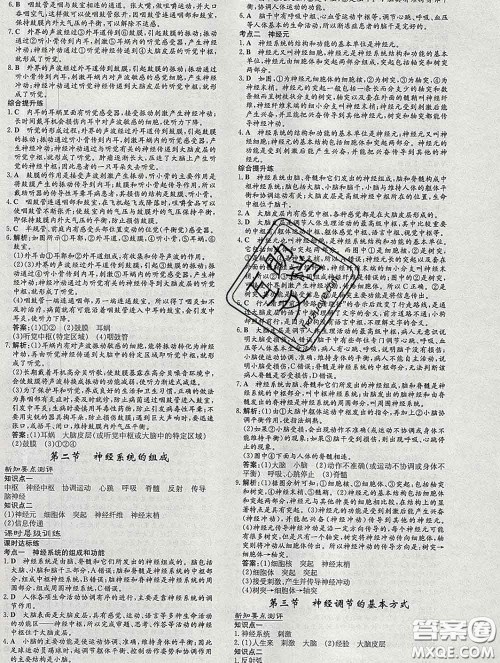 2020新版练案课时作业本七年级生物下册人教版答案 2020新版练案课时作业本七年级生物下册人教版答案