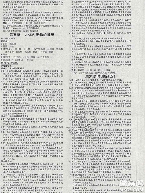 2020新版练案课时作业本七年级生物下册人教版答案