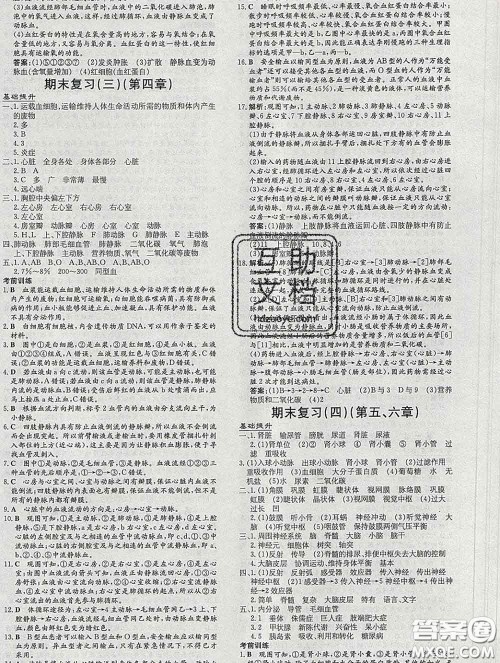 2020新版练案课时作业本七年级生物下册人教版答案