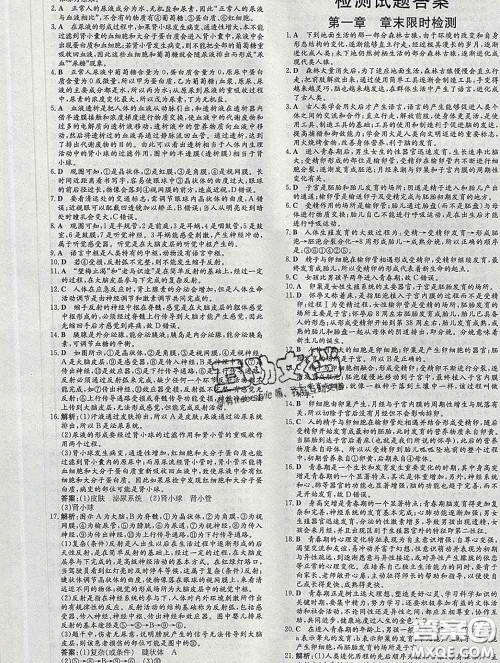 2020新版练案课时作业本七年级生物下册人教版答案 2020新版练案课时作业本七年级生物下册人教版答案