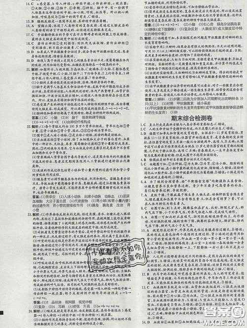 2020新版练案课时作业本七年级生物下册人教版答案 2020新版练案课时作业本七年级生物下册人教版答案