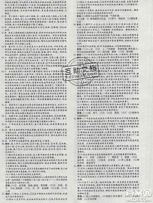 2020新版练案课时作业本七年级生物下册人教版答案