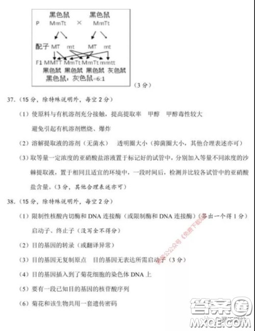 长郡中学2020届高三适应性考试三理科综合试题及答案