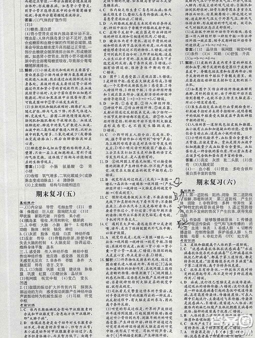 2020新版练案课时作业本七年级生物下册济南版答案