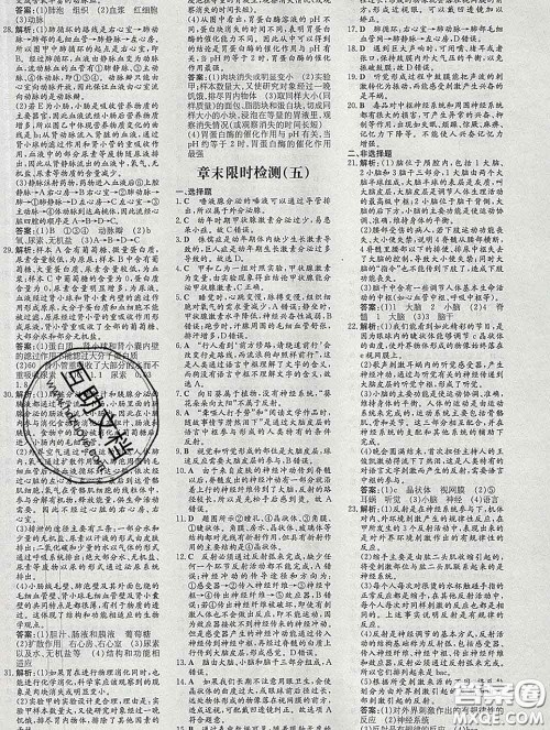 2020新版练案课时作业本七年级生物下册济南版答案 2020新版练案课时作业本七年级生物下册济南版答案