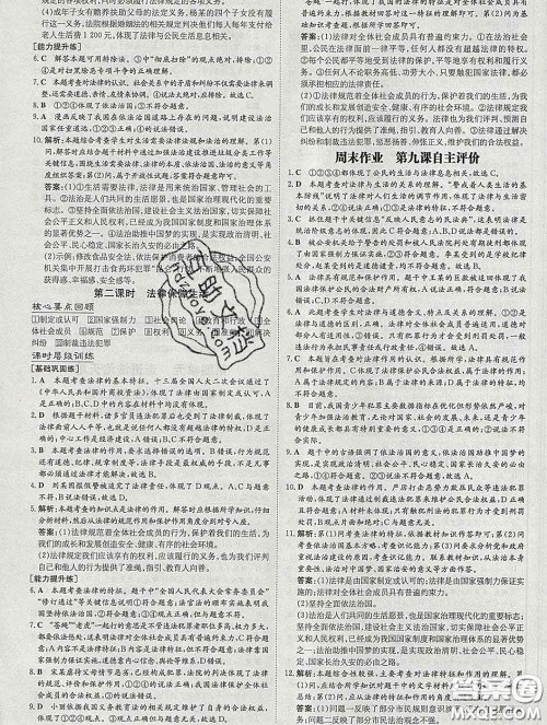 2020新版练案课时作业本七年级道德与法治下册人教版答案