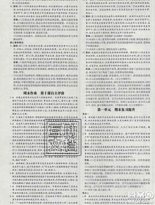 2020新版练案课时作业本七年级道德与法治下册人教版答案