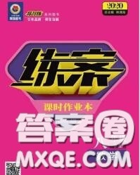 2020新版练案课时作业本八年级数学下册人教版答案 2020新版练案课时作业本八年级数学下册人教版答案
