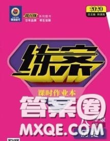 2020新版练案课时作业本八年级历史下册人教版答案