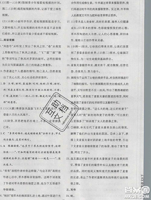 2020新版练案课时作业本八年级语文下册人教版答案 2020新版练案课时作业本八年级语文下册人教版答案