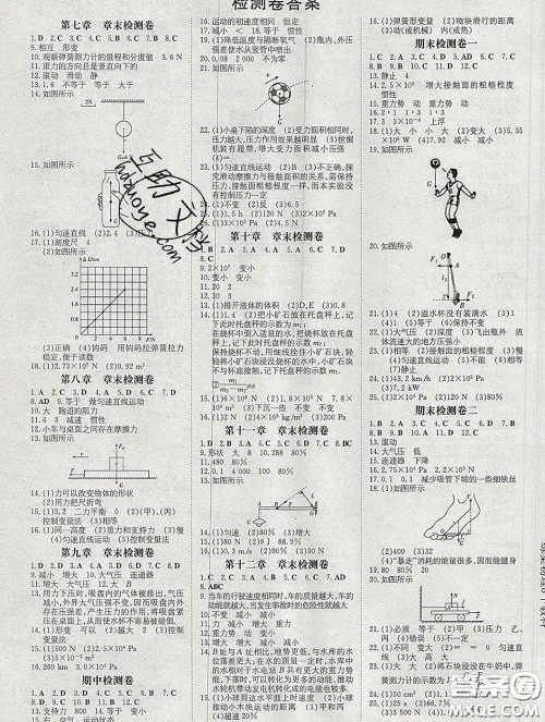 2020新版练案课时作业本八年级物理下册教科版答案