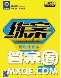 2020新版练案课时作业本九年级数学下册人教版答案