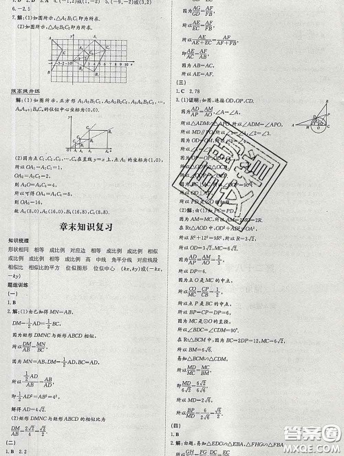 2020新版练案课时作业本九年级数学下册人教版答案