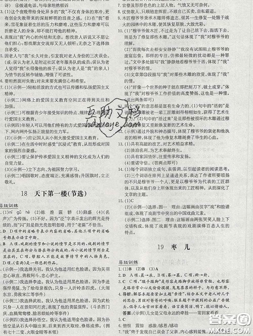 2020新版练案课时作业本九年级语文下册人教版答案