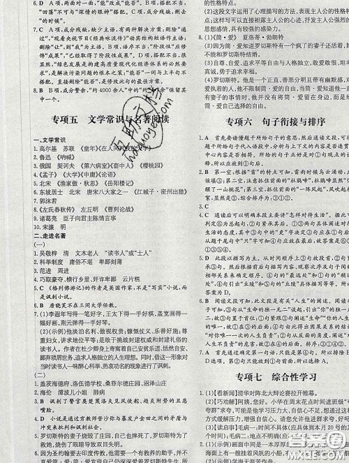 2020新版练案课时作业本九年级语文下册人教版答案