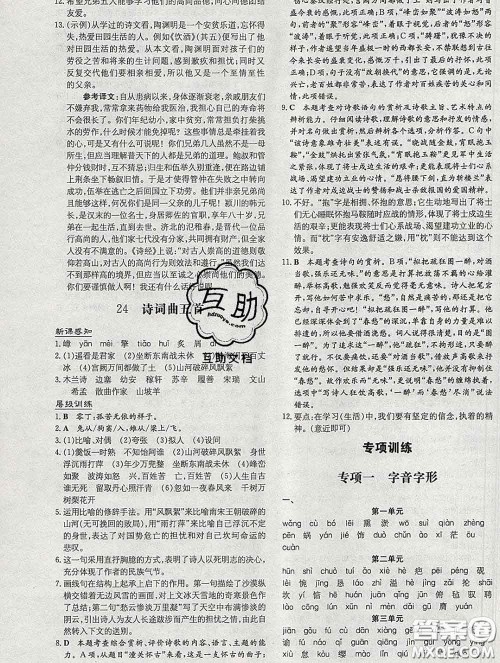 2020新版练案课时作业本九年级语文下册人教版答案