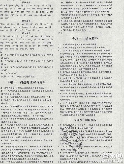 2020新版练案课时作业本九年级语文下册人教版答案