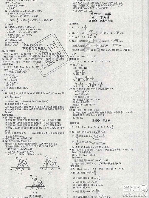 2020春高效课时通10分钟掌握课堂七年级数学下册人教版参考答案