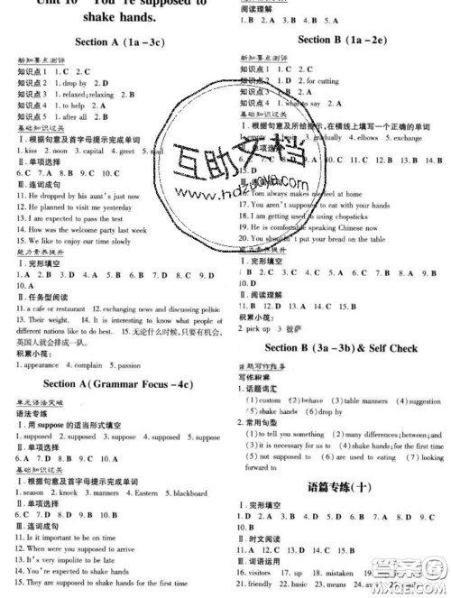 2020新版练案课时作业本九年级英语下册冀教版答案