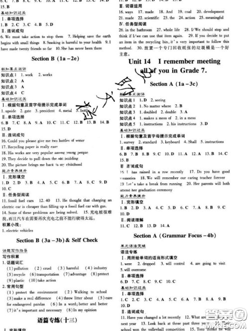 2020新版练案课时作业本九年级英语下册冀教版答案