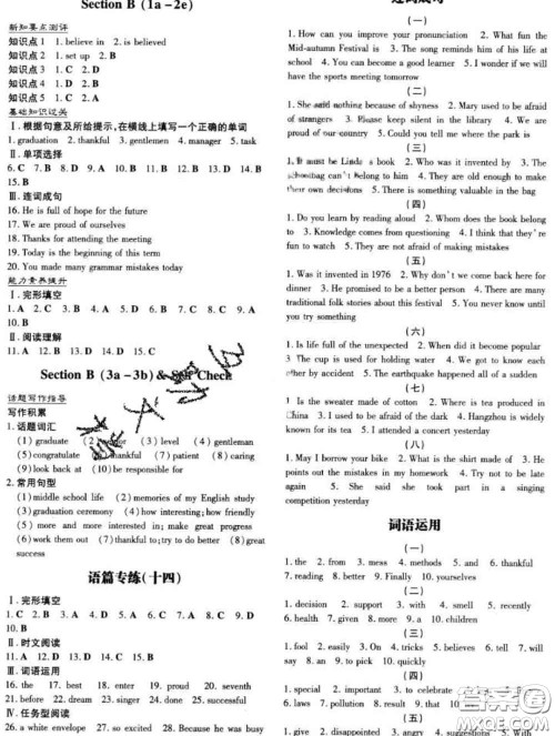 2020新版练案课时作业本九年级英语下册冀教版答案