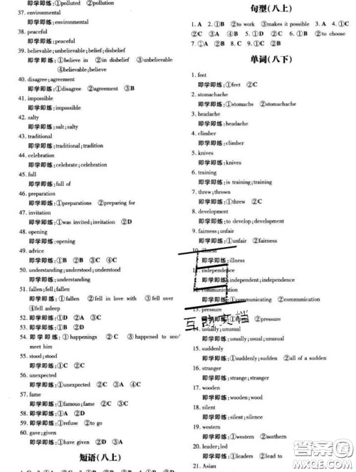 2020新版练案课时作业本九年级英语下册冀教版答案