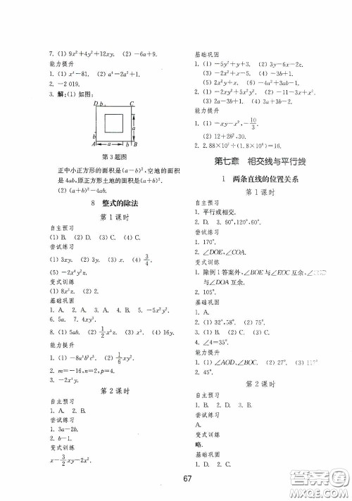 山东教育出版社2020初中基础训练六年级数学下册54学制版答案