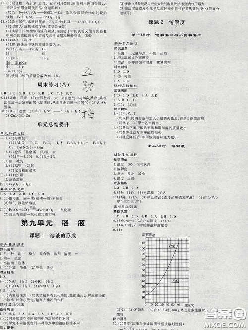 2020新版练案课时作业本九年级化学下册人教版答案