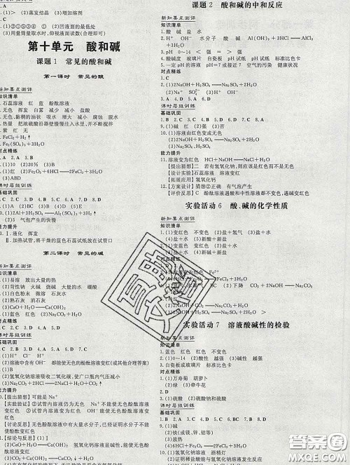 2020新版练案课时作业本九年级化学下册人教版答案