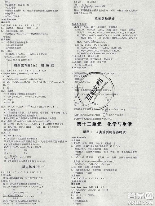 2020新版练案课时作业本九年级化学下册人教版答案