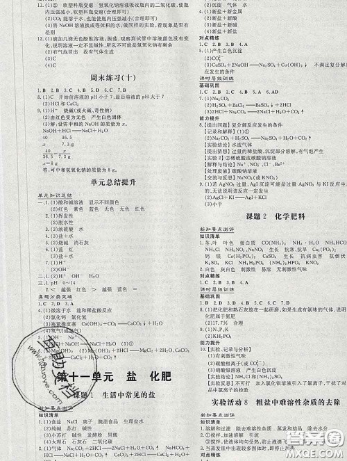 2020新版练案课时作业本九年级化学下册人教版答案