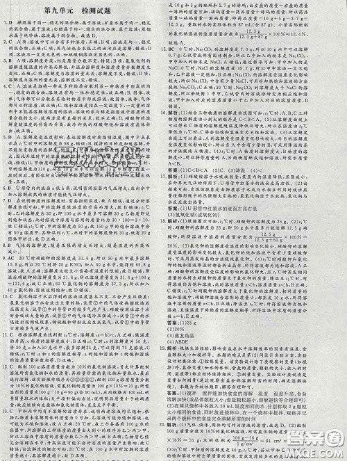 2020新版练案课时作业本九年级化学下册人教版答案