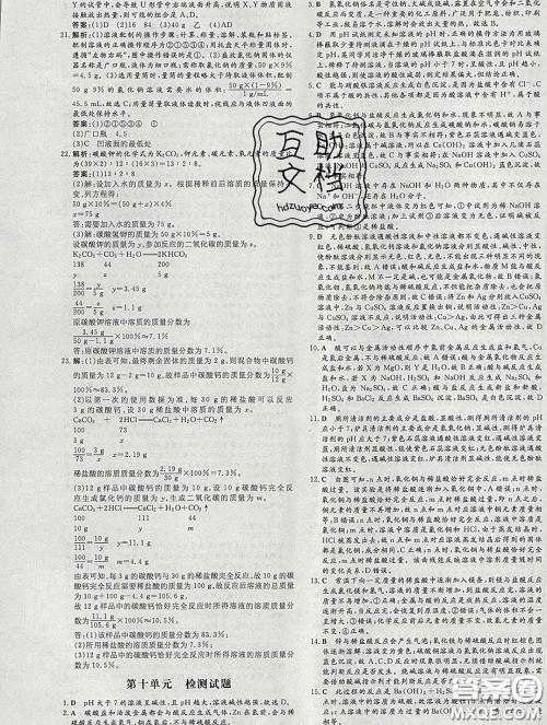 2020新版练案课时作业本九年级化学下册人教版答案