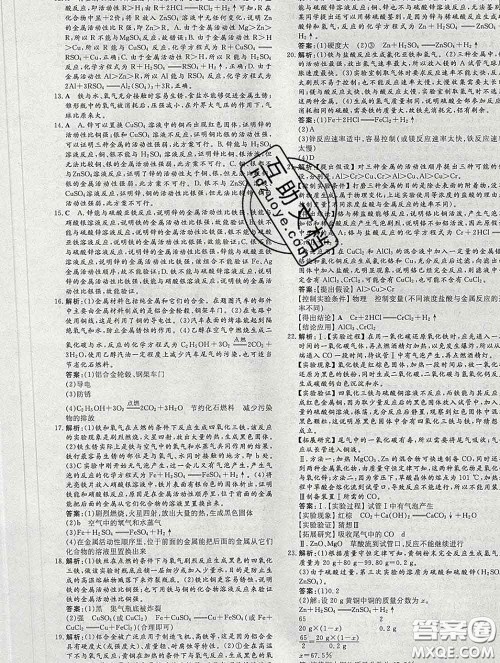 2020新版练案课时作业本九年级化学下册人教版答案