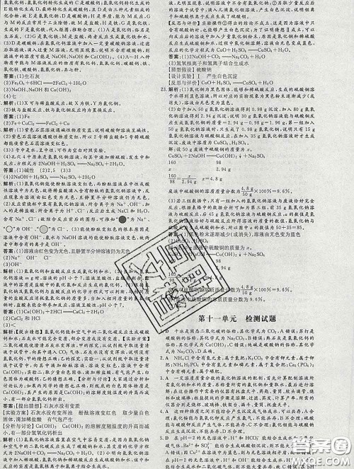 2020新版练案课时作业本九年级化学下册人教版答案