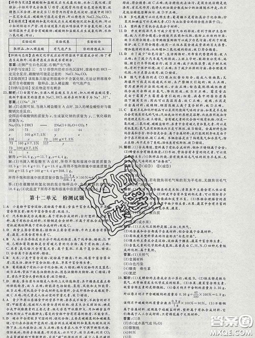 2020新版练案课时作业本九年级化学下册人教版答案