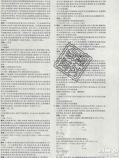 2020新版练案课时作业本九年级化学下册人教版答案