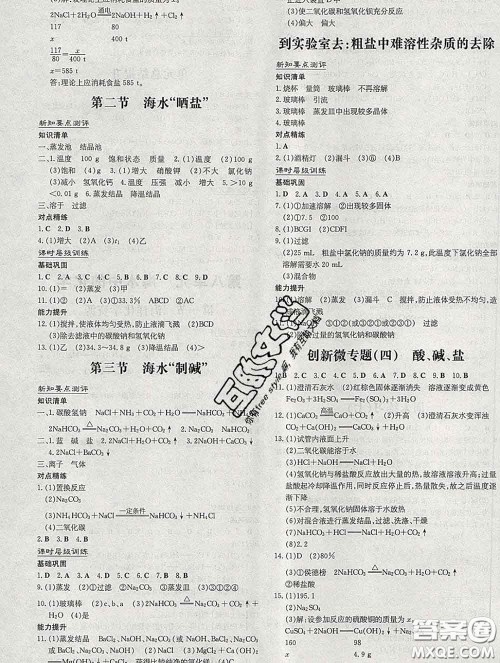 2020新版练案课时作业本九年级化学下册鲁教版答案